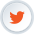 twitter icon